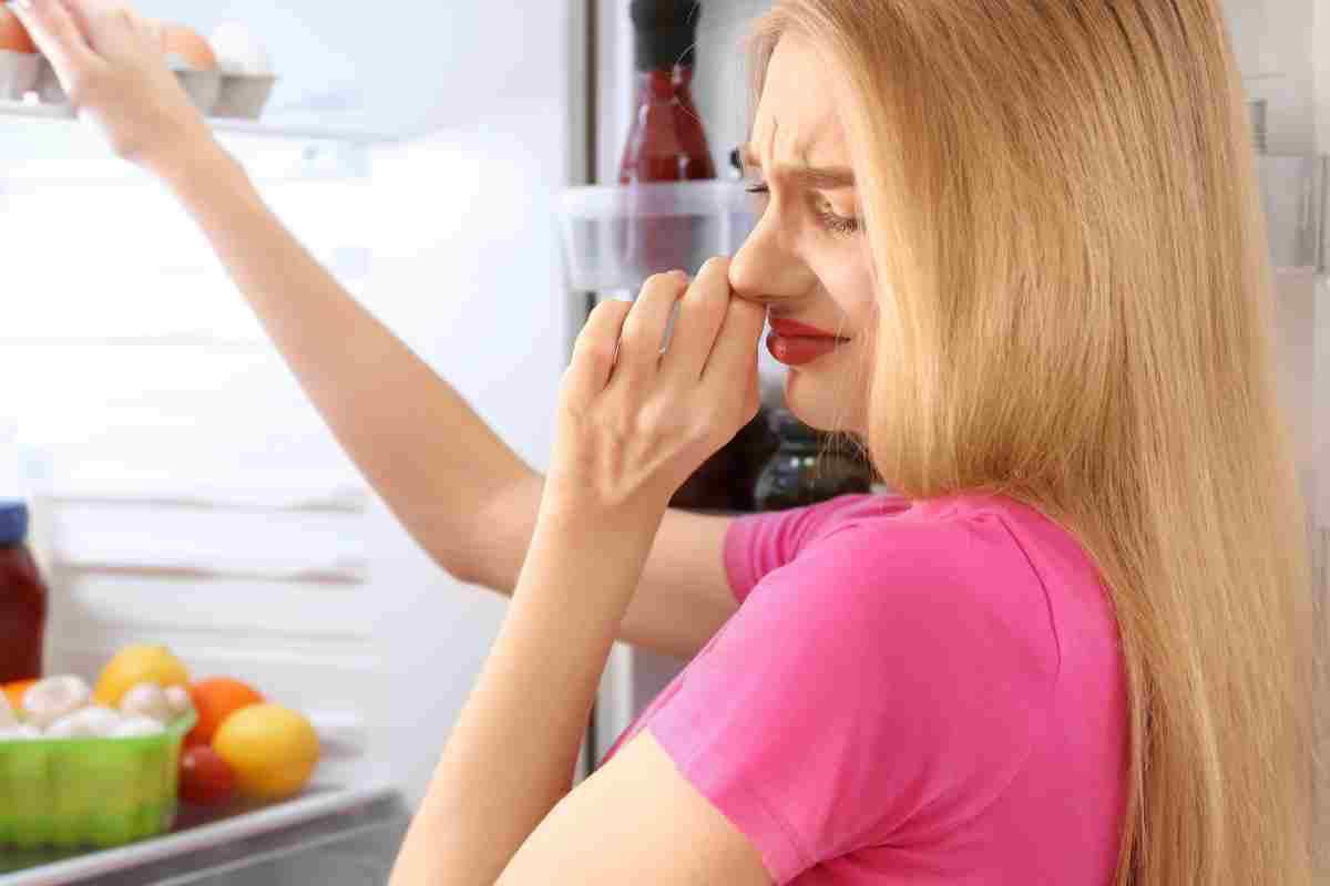 Puzza nel frigo