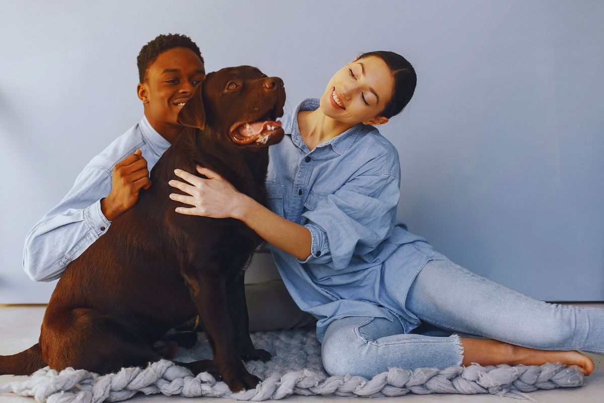 quando il cane si intromette negli abbracci